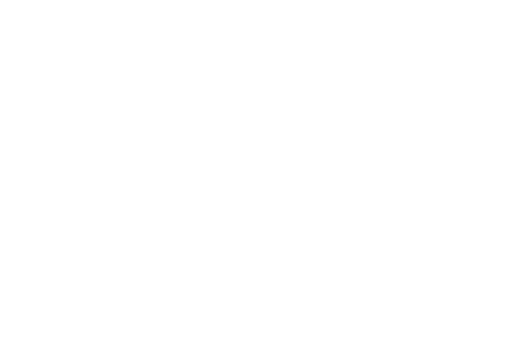 Trium Novem